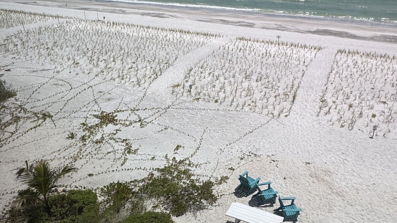 Photo of Others in Sunset Beach