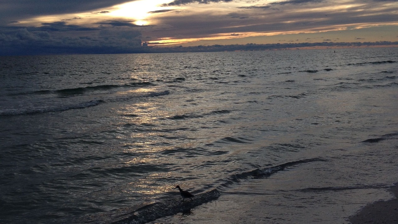 Photo of Others in Holmes Beach
