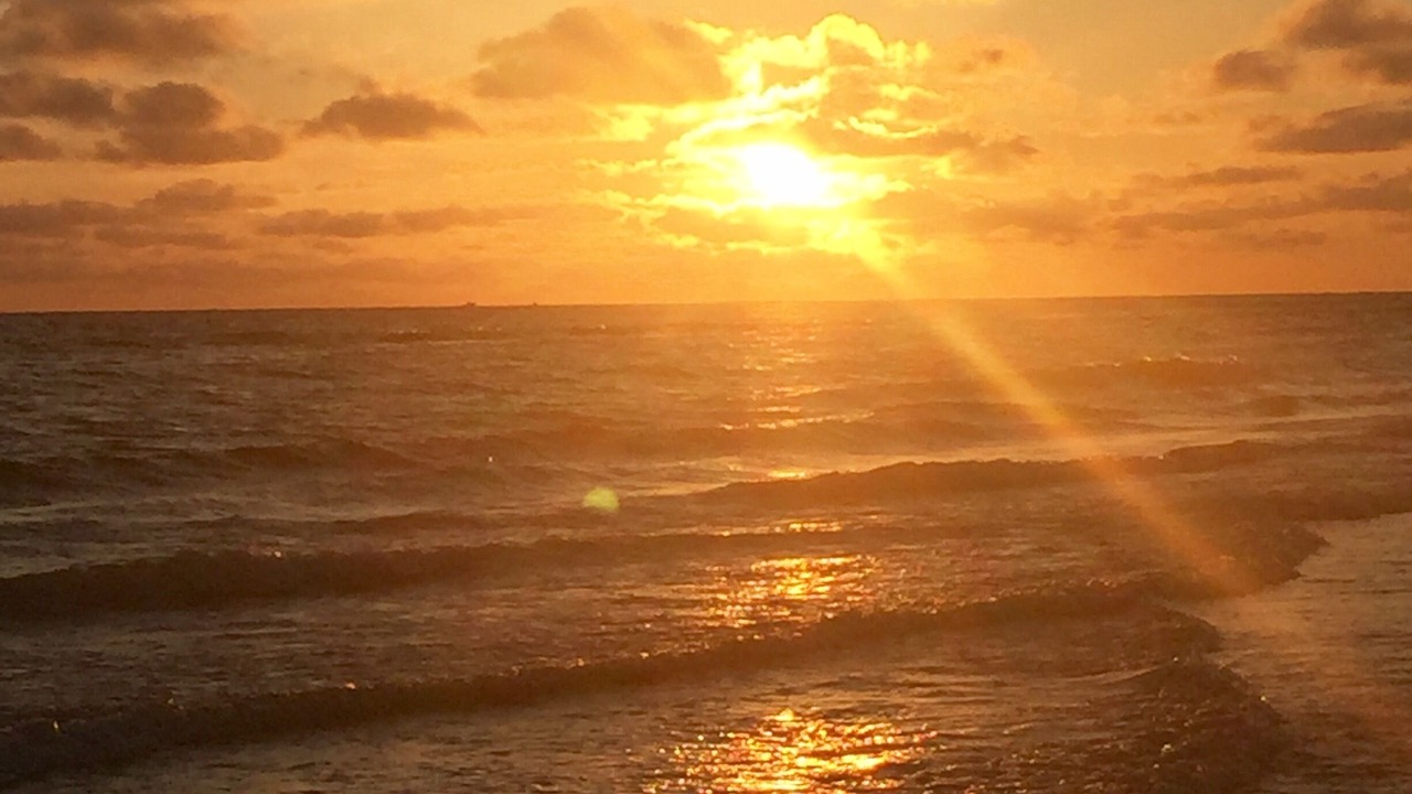 Photo of Others in Siesta Key