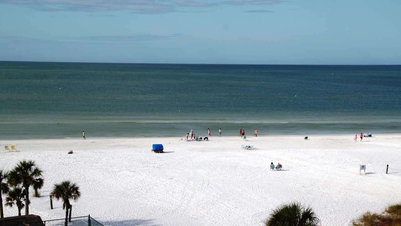 Photo of Others in Siesta Key