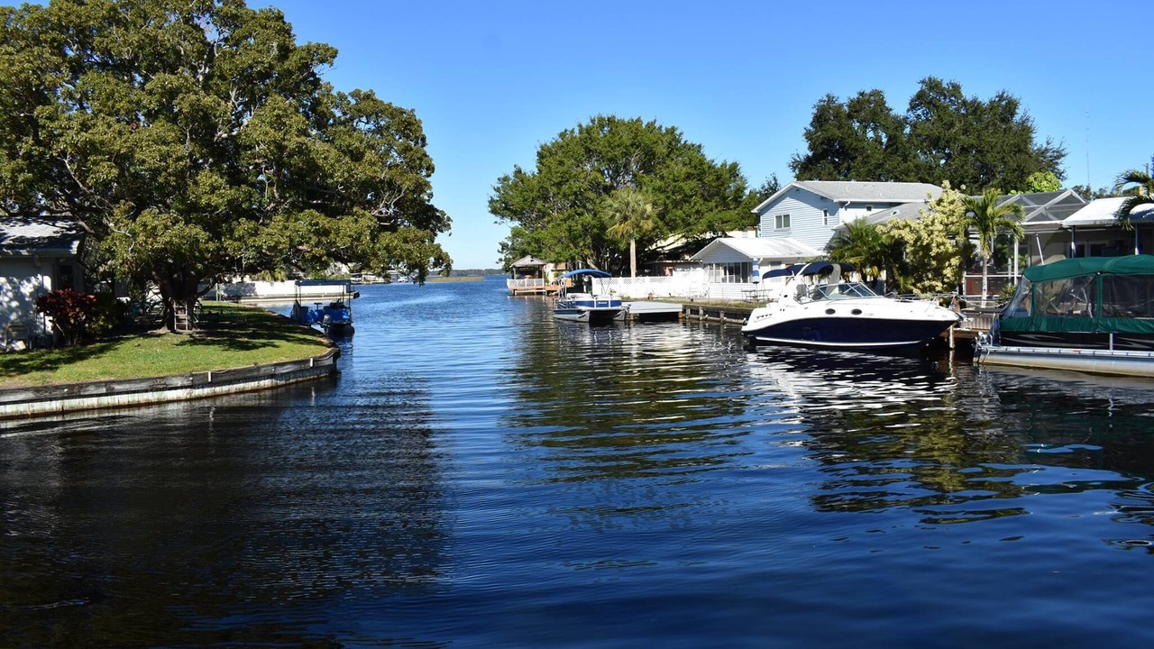 Photo of Others in Lake Shore Estates