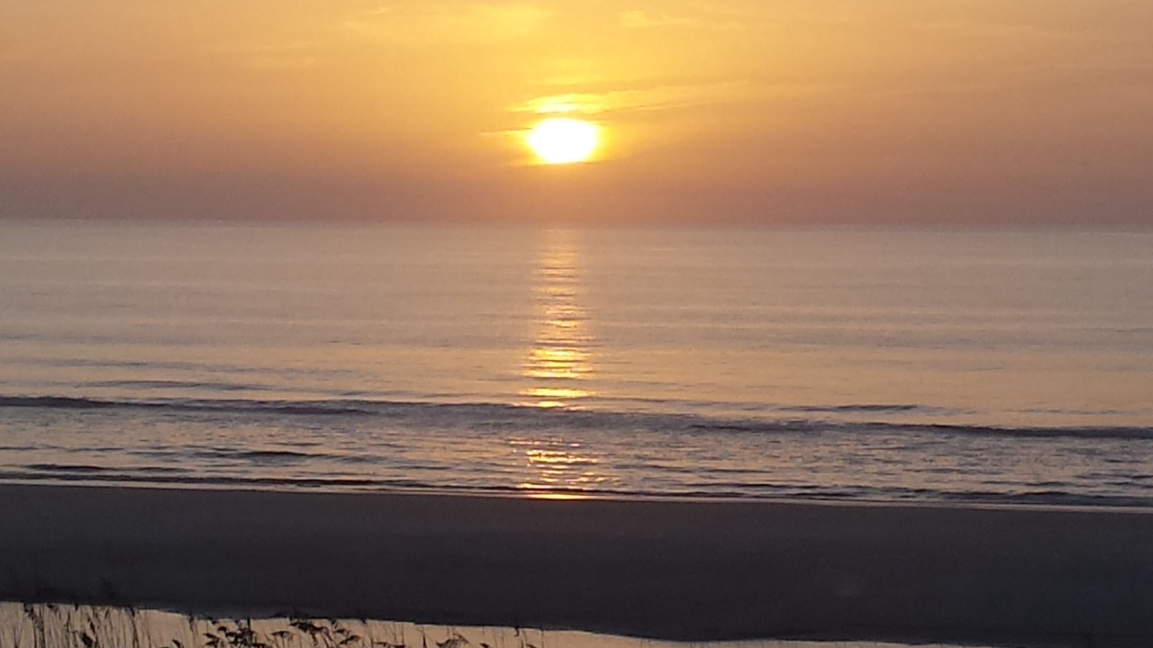 Photo of Others in Jacksonville Beach