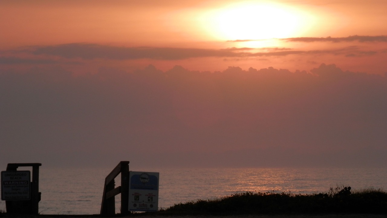 Photo of Outdoor in Flagler Beach
