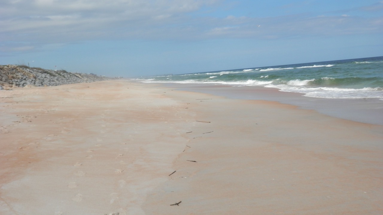 Photo of Others in Flagler Beach