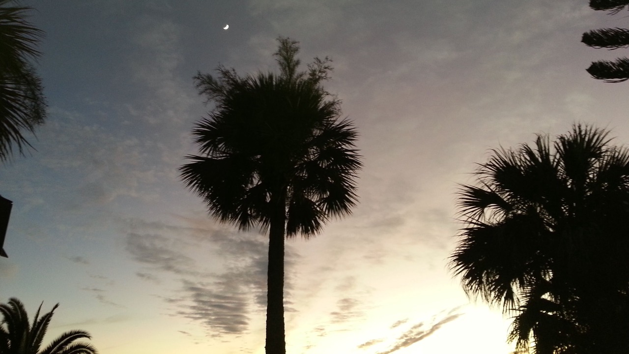 Photo of Others in New Smyrna Beach