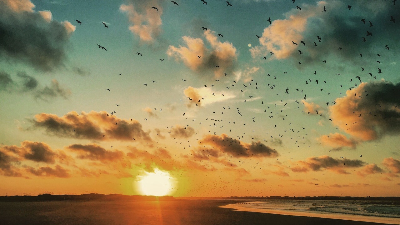 Photo of Others in St. Augustine Beach