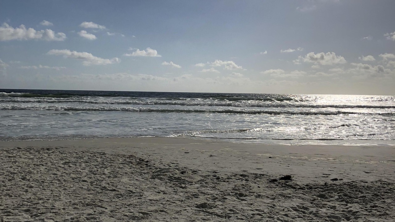 Photo of Others in St. Augustine