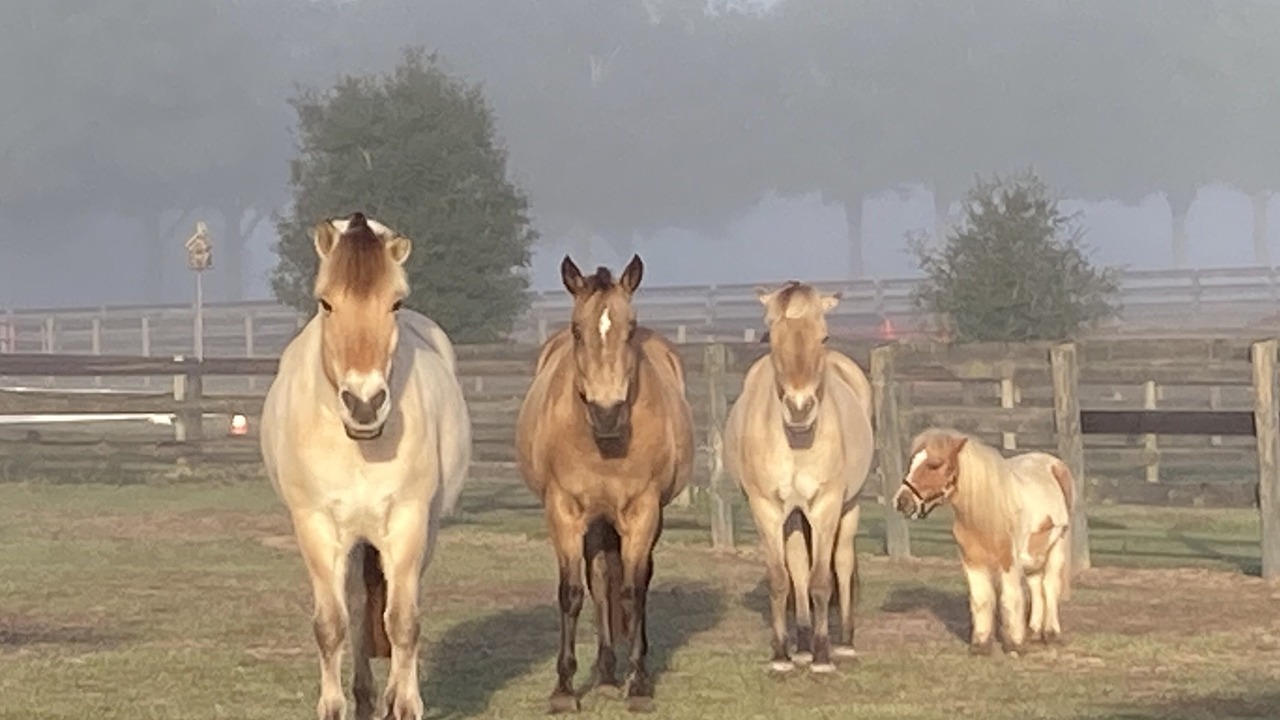 Photo of Others in Fellowship