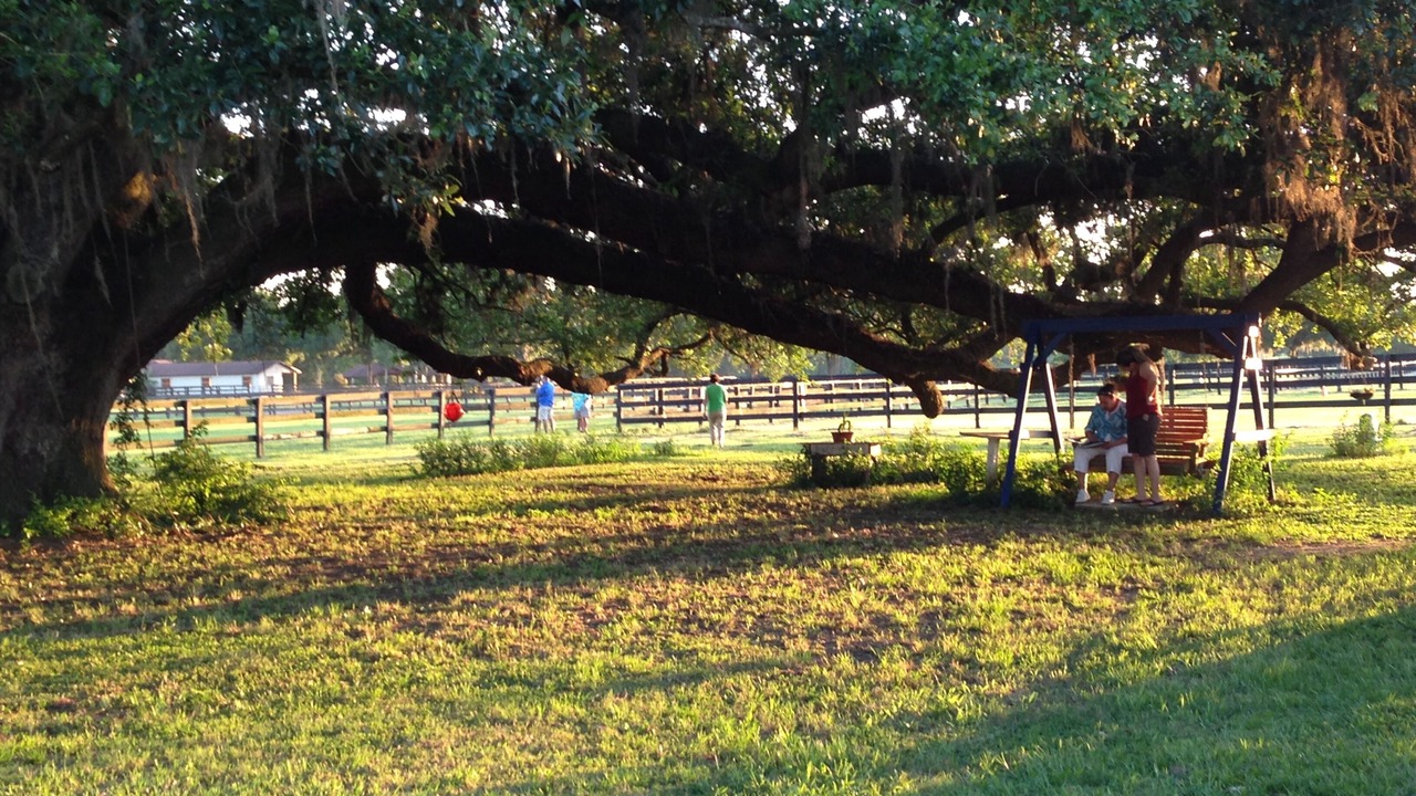 Photo of Others in Fellowship