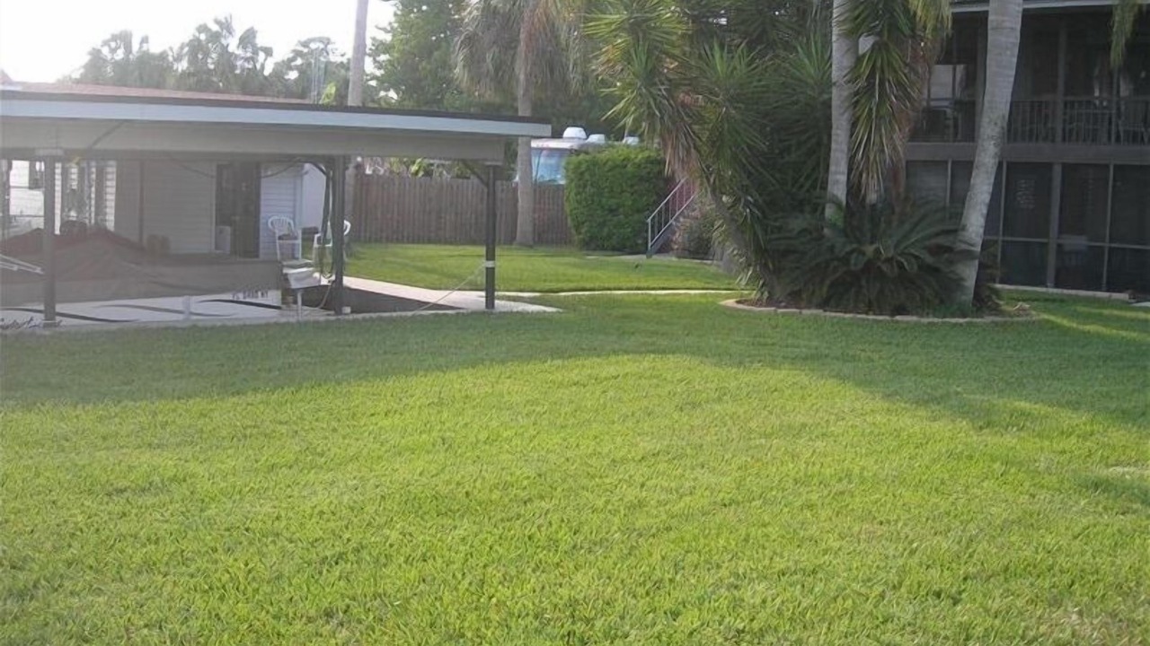 Photo of Others in Homosassa