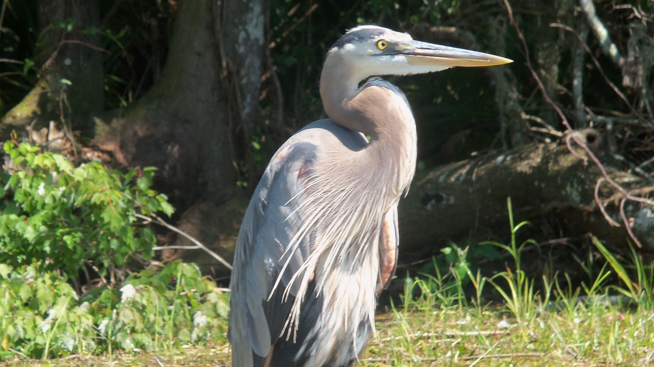 Photo of Others in Dunnellon