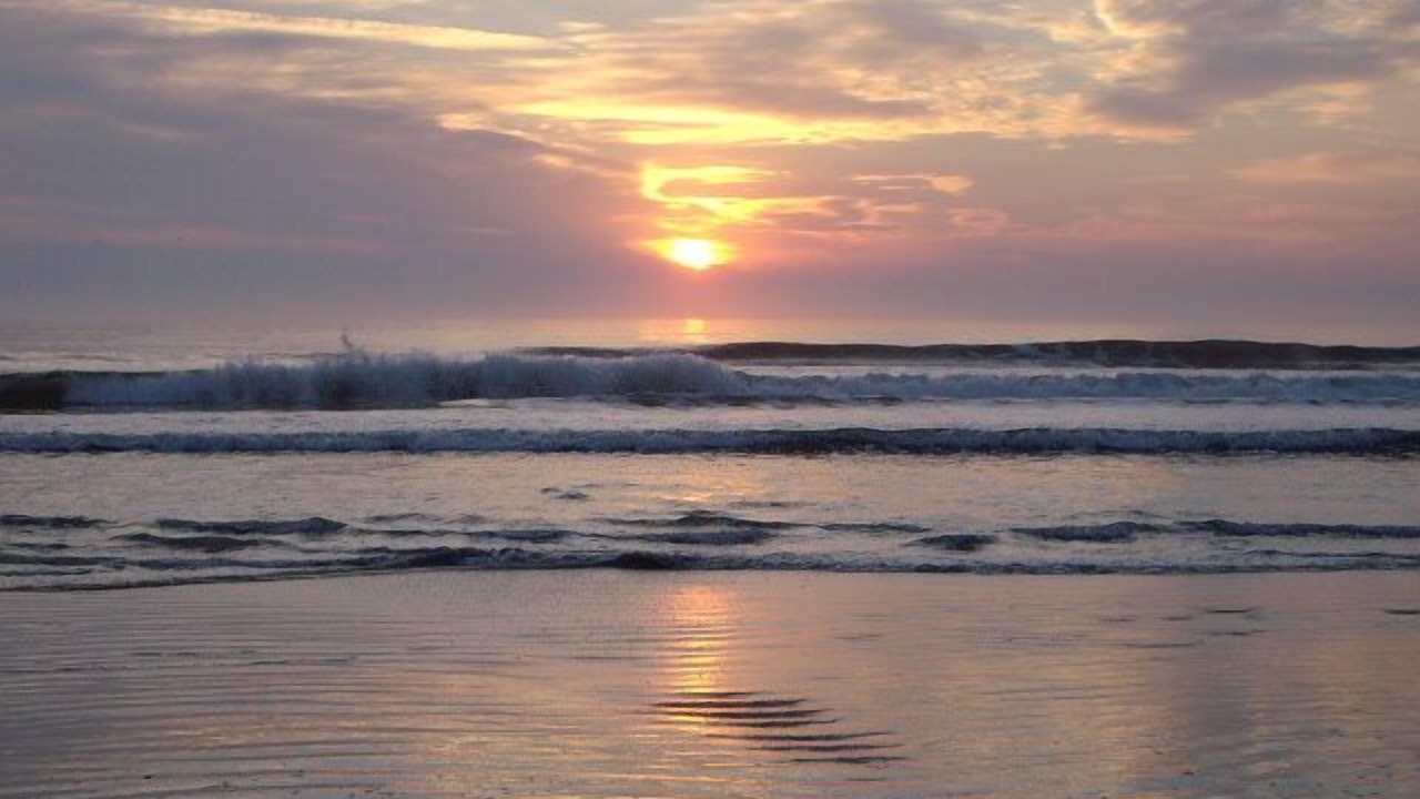 Photo of Others in Crescent Beach