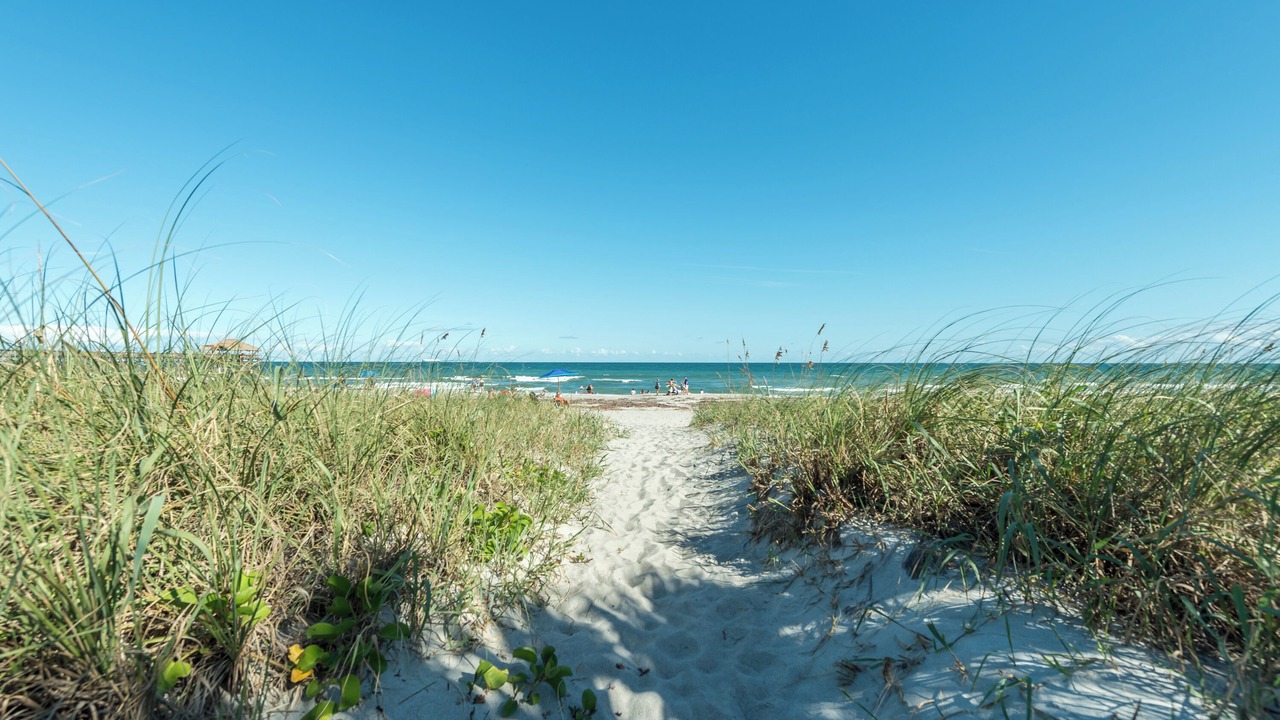 Photo of Outdoor in Avon By The Sea