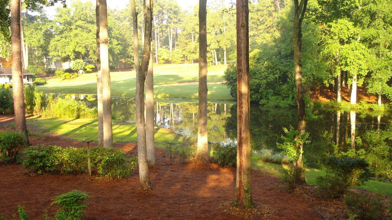 Photo of Others in Pinehurst