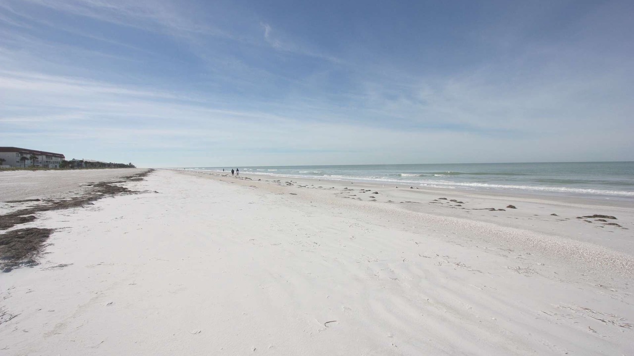 Photo of Others in Belleair Beach