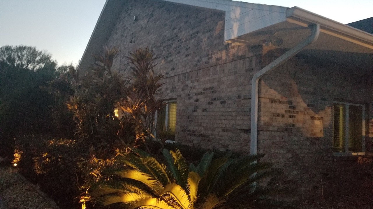 Photo of Outdoor in Lutz