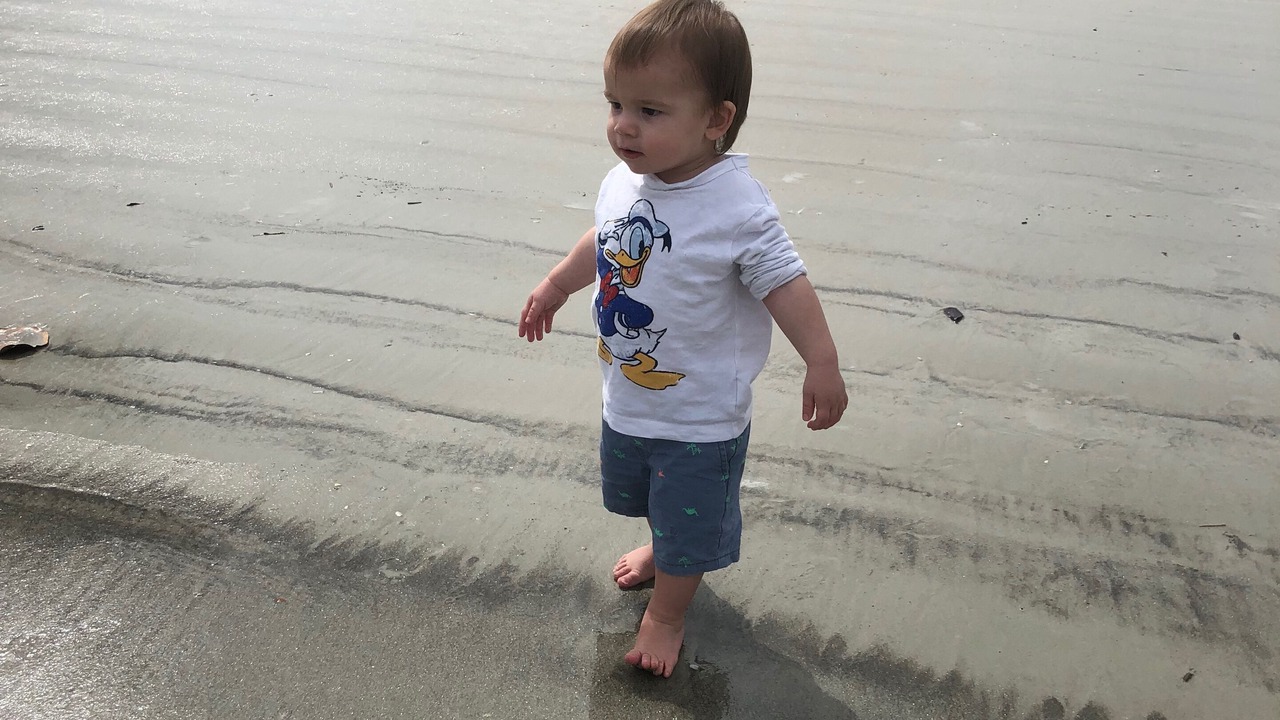 Photo of Others in New Smyrna Beach