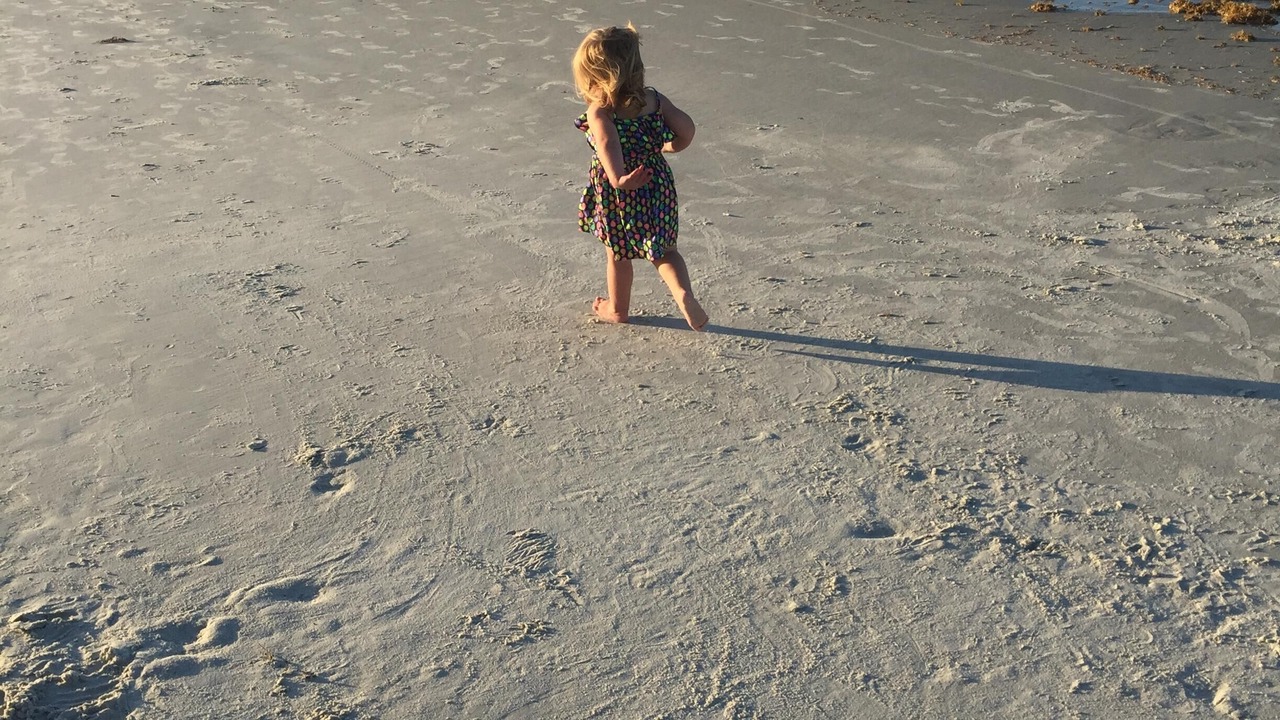 Photo of Others in New Smyrna Beach