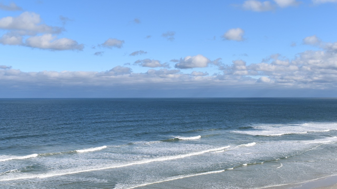 Photo of Others in Daytona Beach