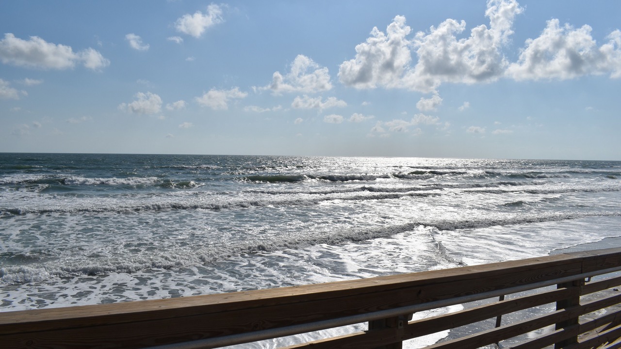 Photo of Others in Daytona Beach
