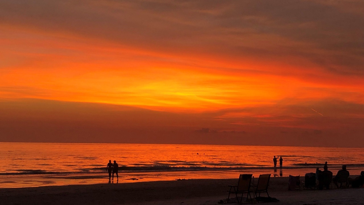 Photo of Others in Indian Shores