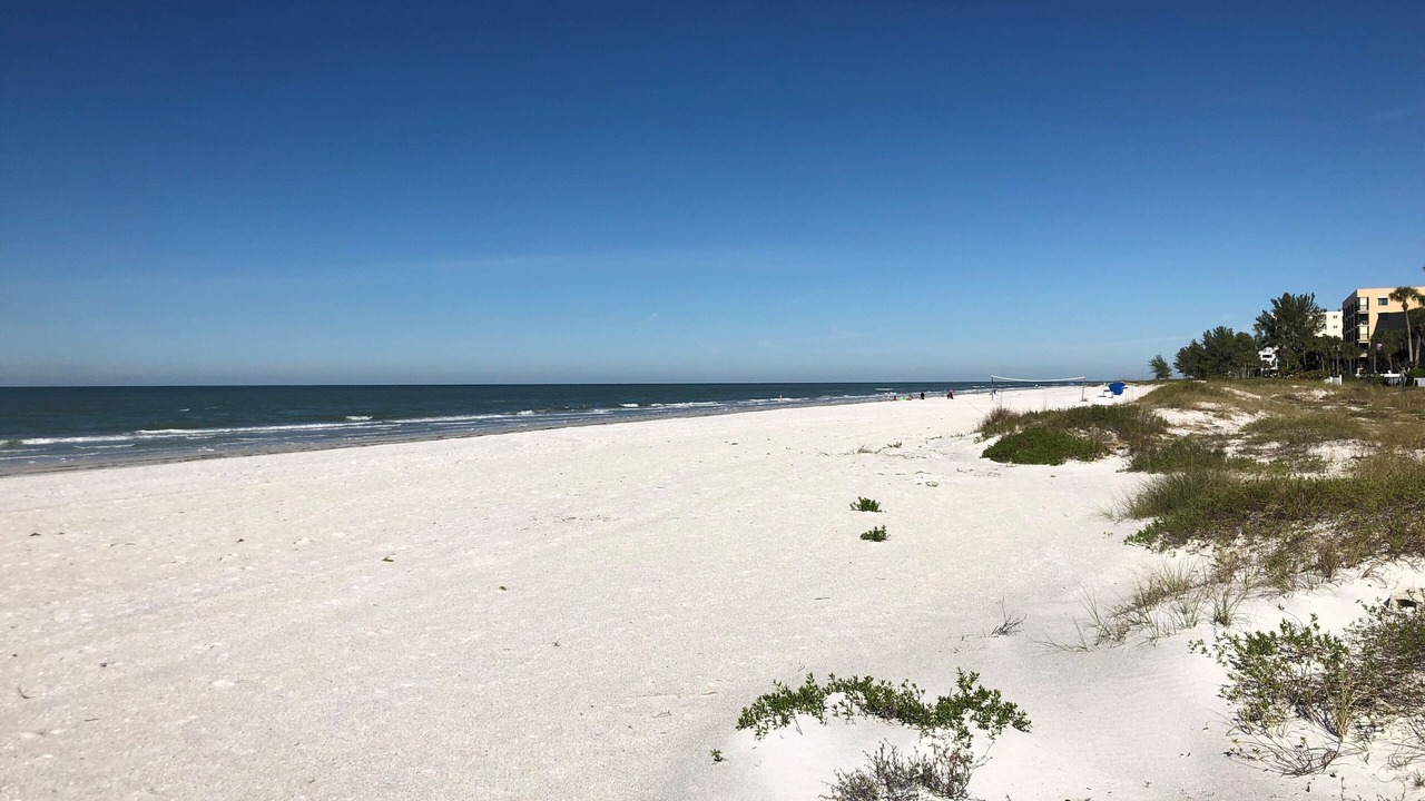 Photo of Others in Indian Shores