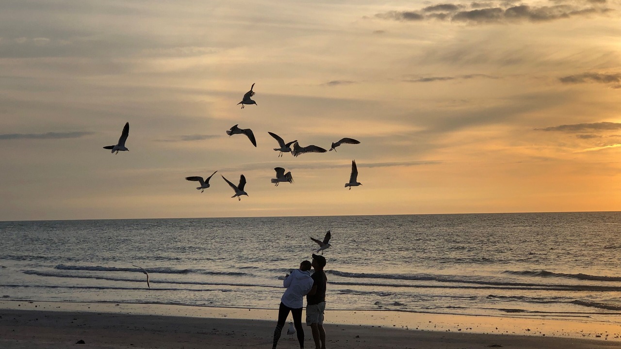 Photo of Others in Indian Shores