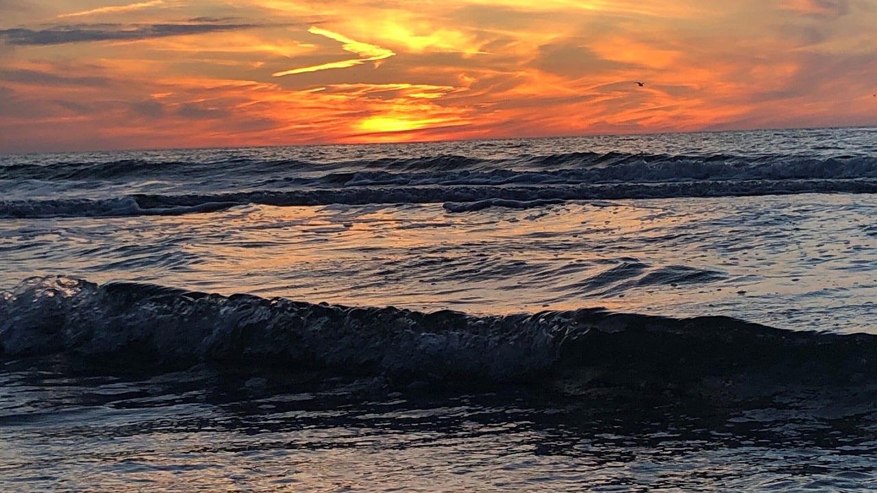 Photo of Others in Indian Shores