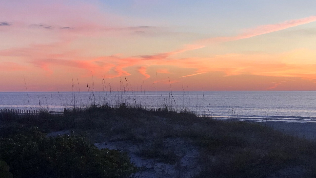 Photo of Others in Indian Shores
