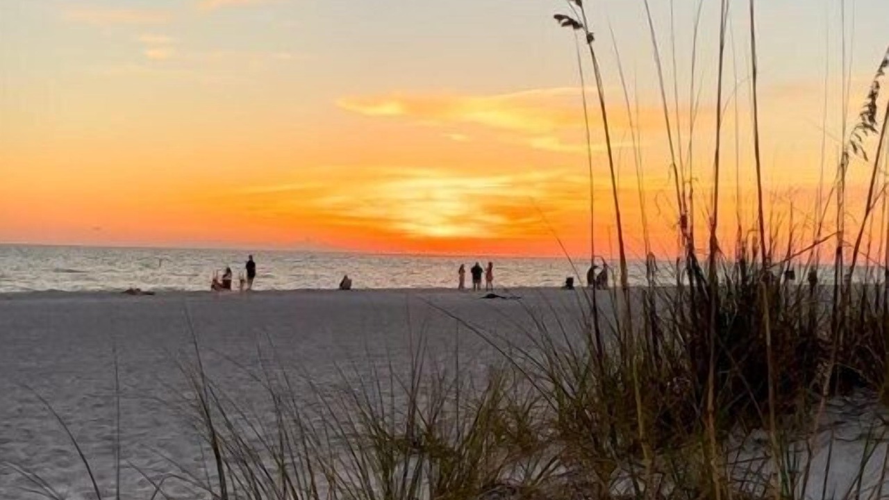 Photo of Others in Holmes Beach