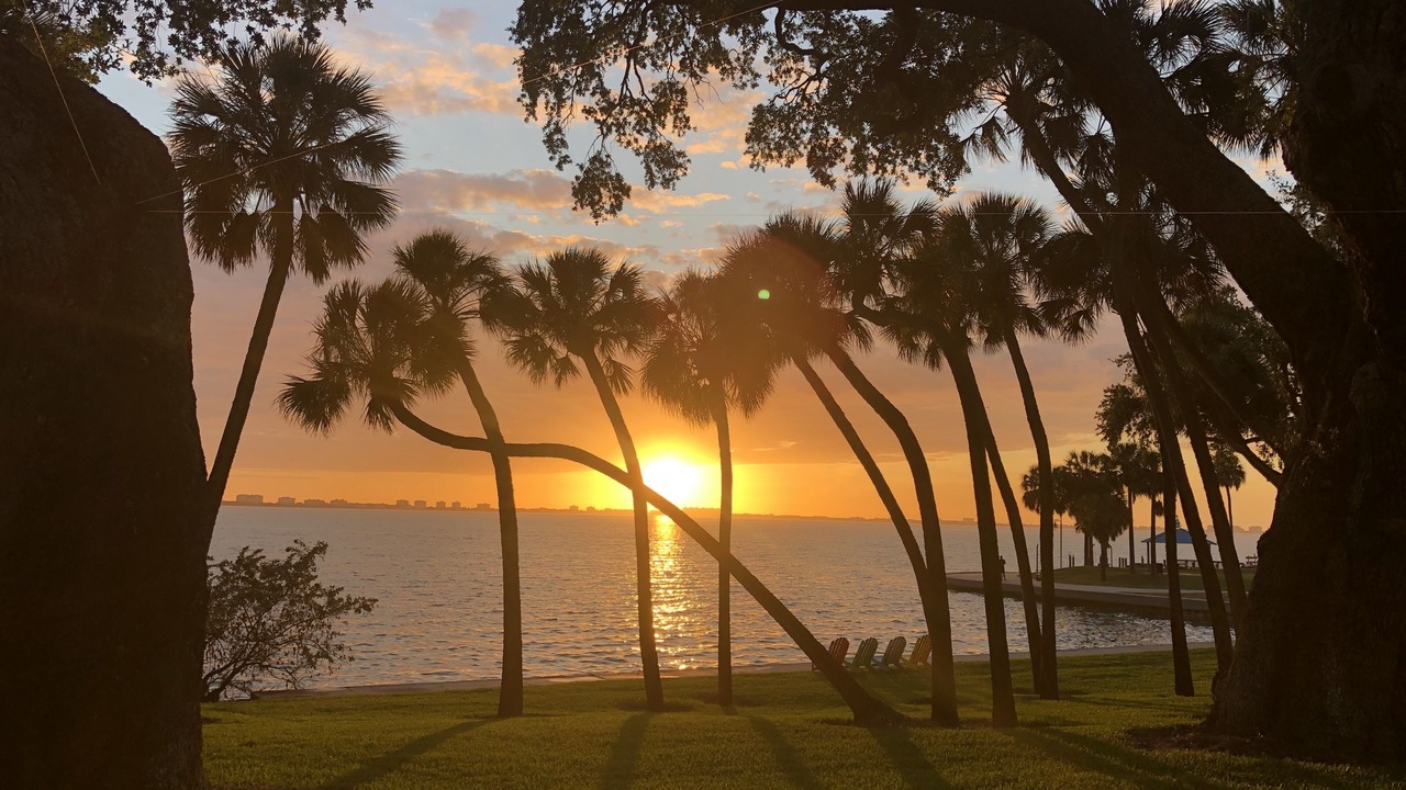 Photo of Others in Braden River