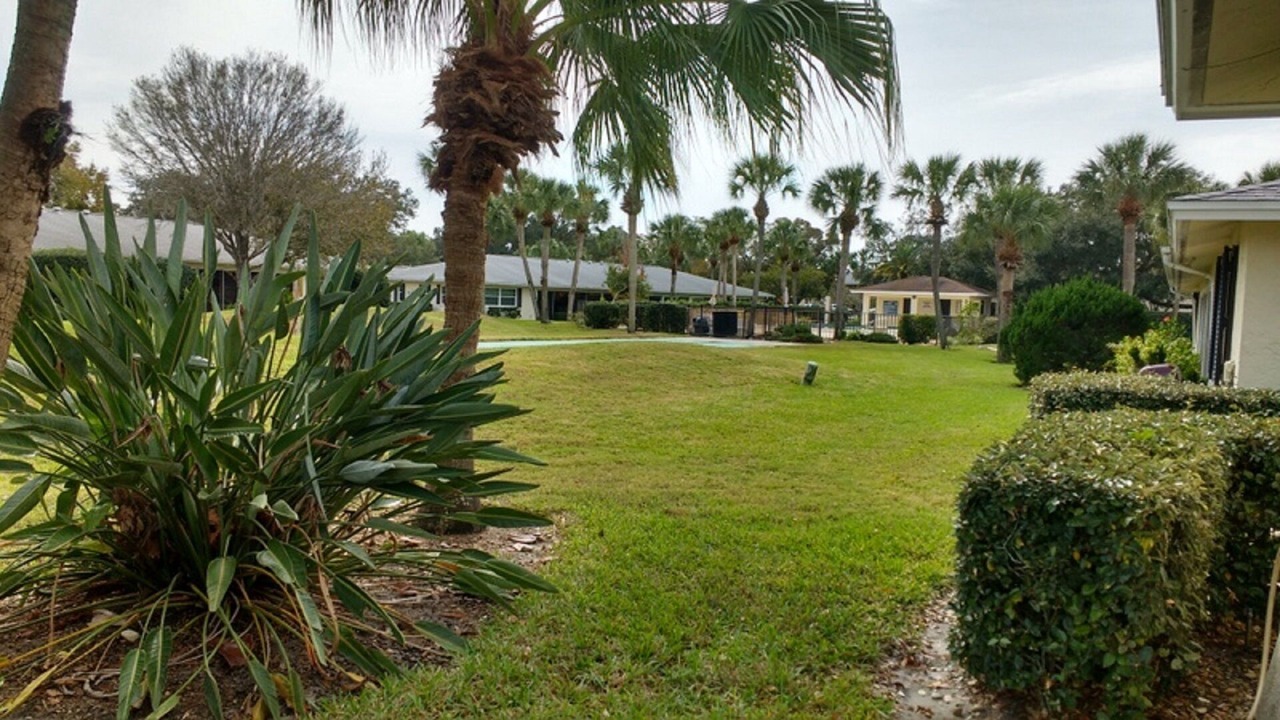 Photo of Outdoor in Braden River