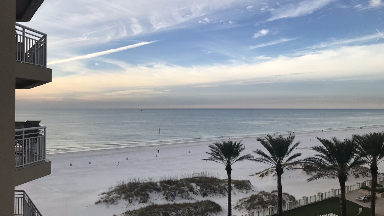 Photo of Others in Clearwater Beach
