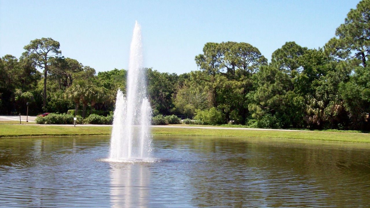 Photo of Others in Braden River