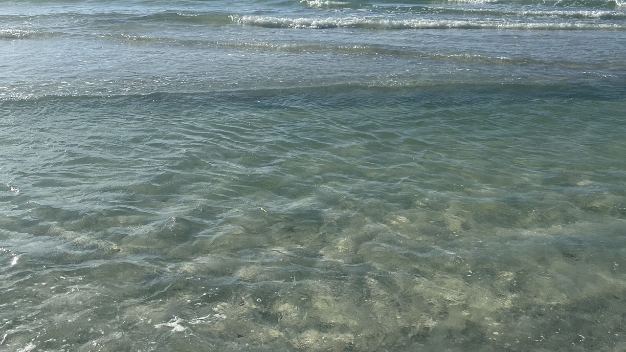 Photo of Others in Sand Key