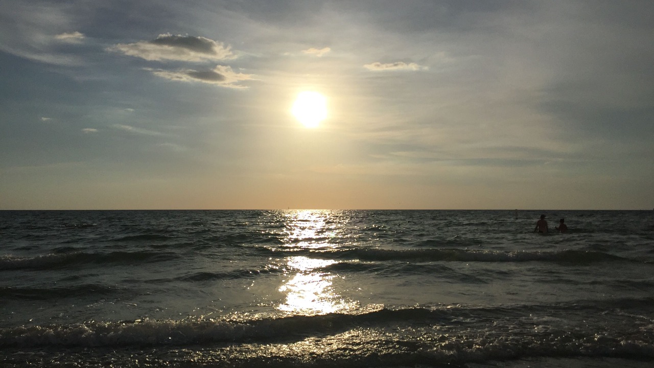 Photo of Others in Sand Key