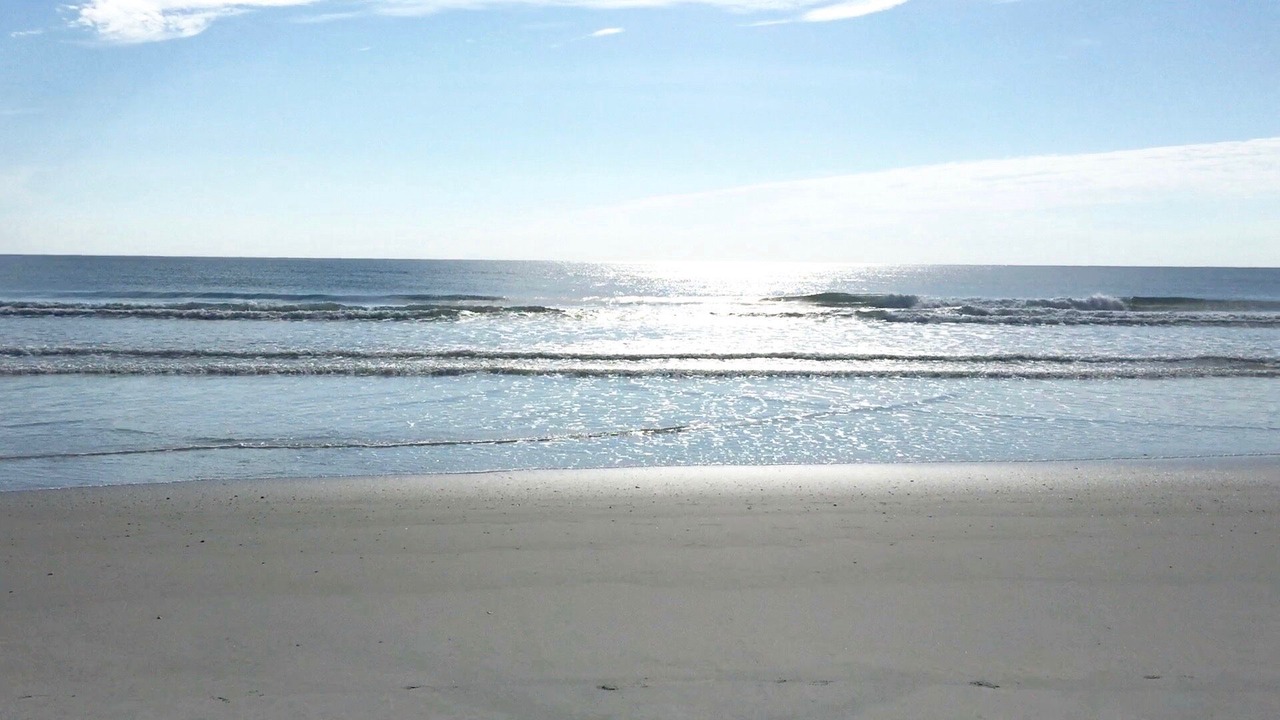 Photo of Others in Ormond Beach