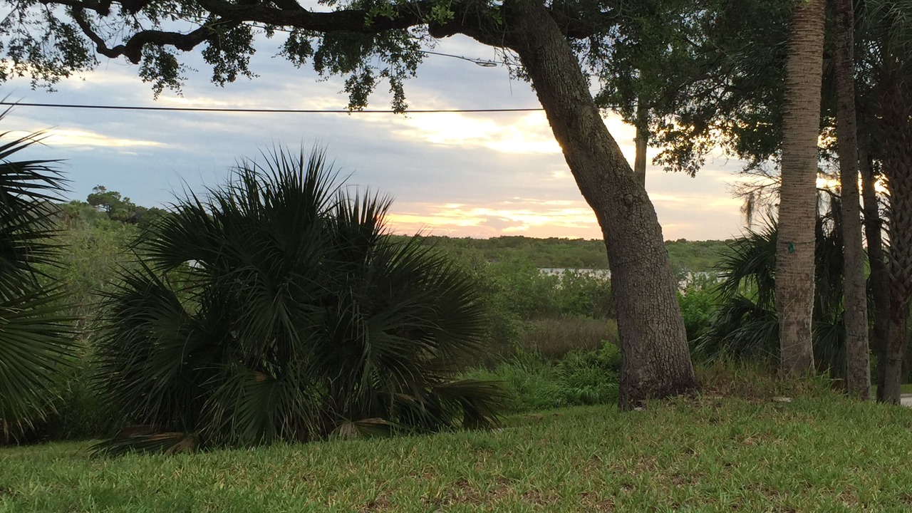 Photo of Others in Ormond Beach