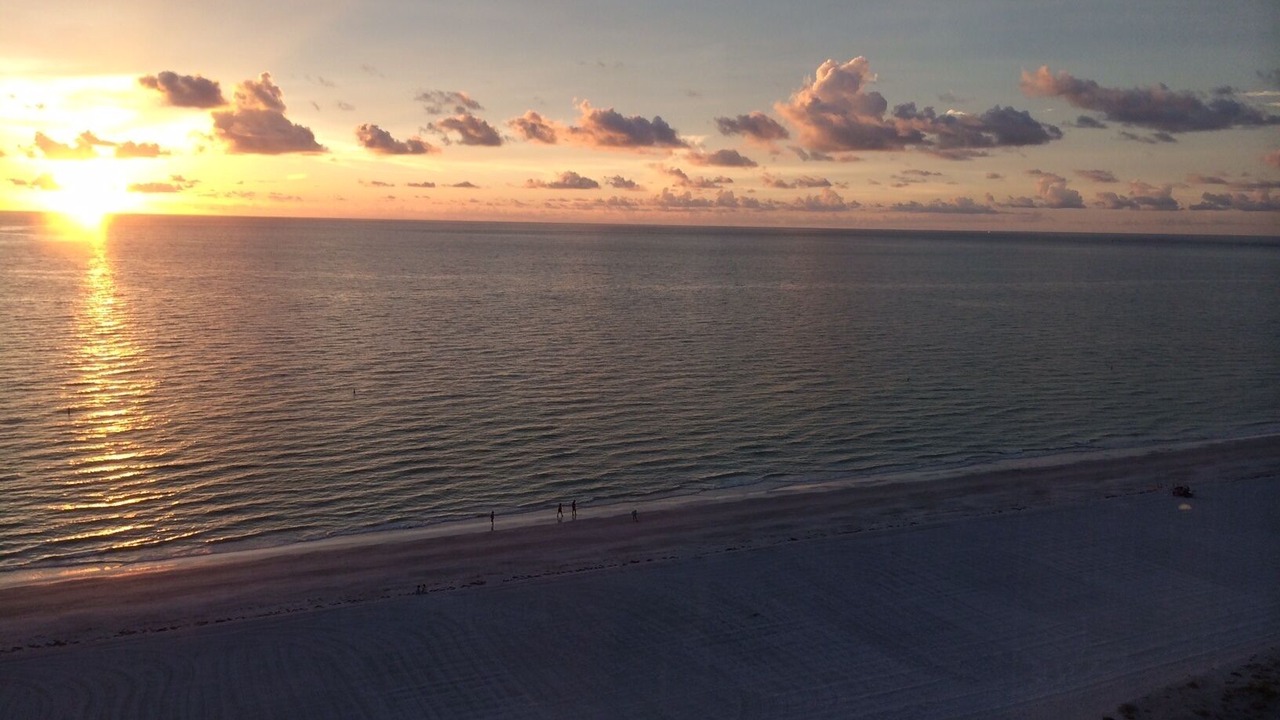 Photo of Others in Sand Key