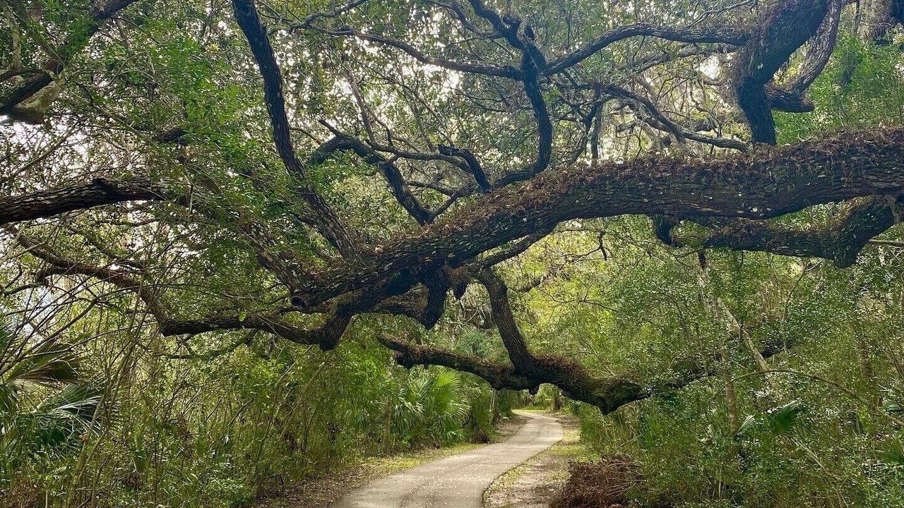 Photo of Others in Palm Coast