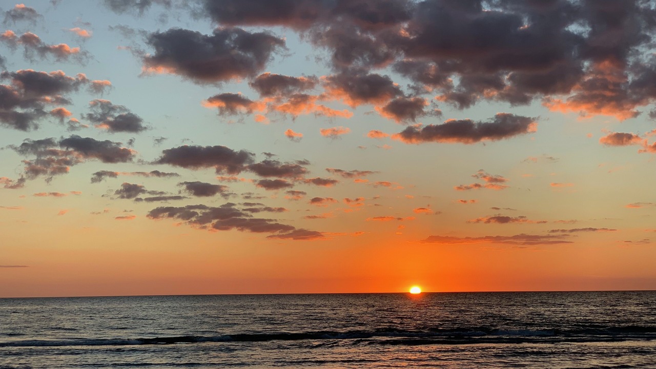 Photo of Others in Indian Shores