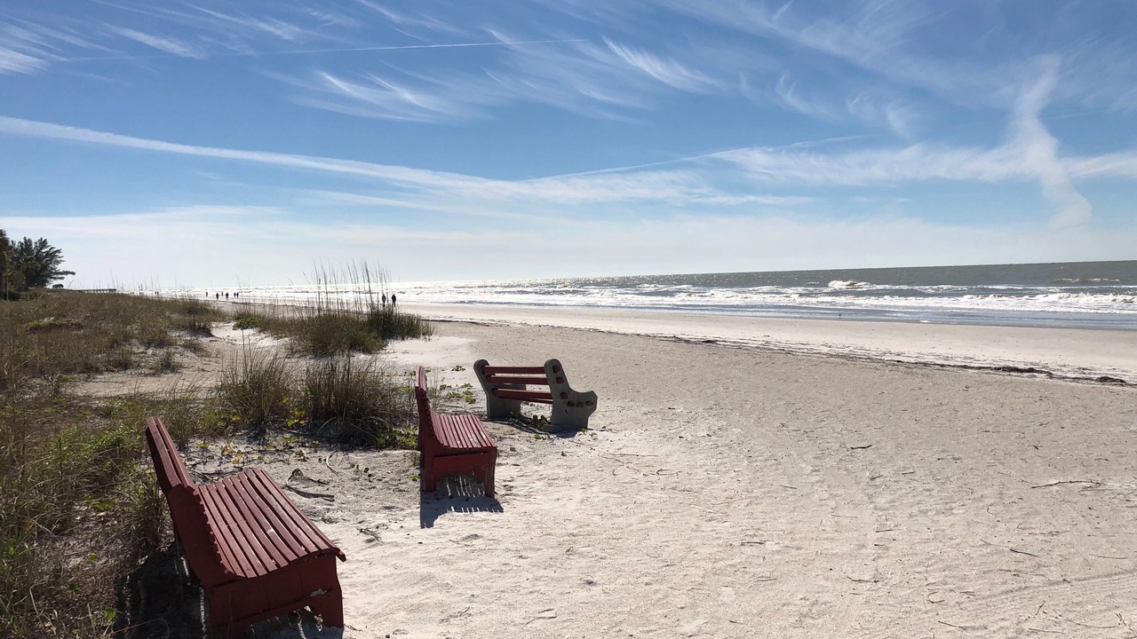 Photo of Others in Indian Shores
