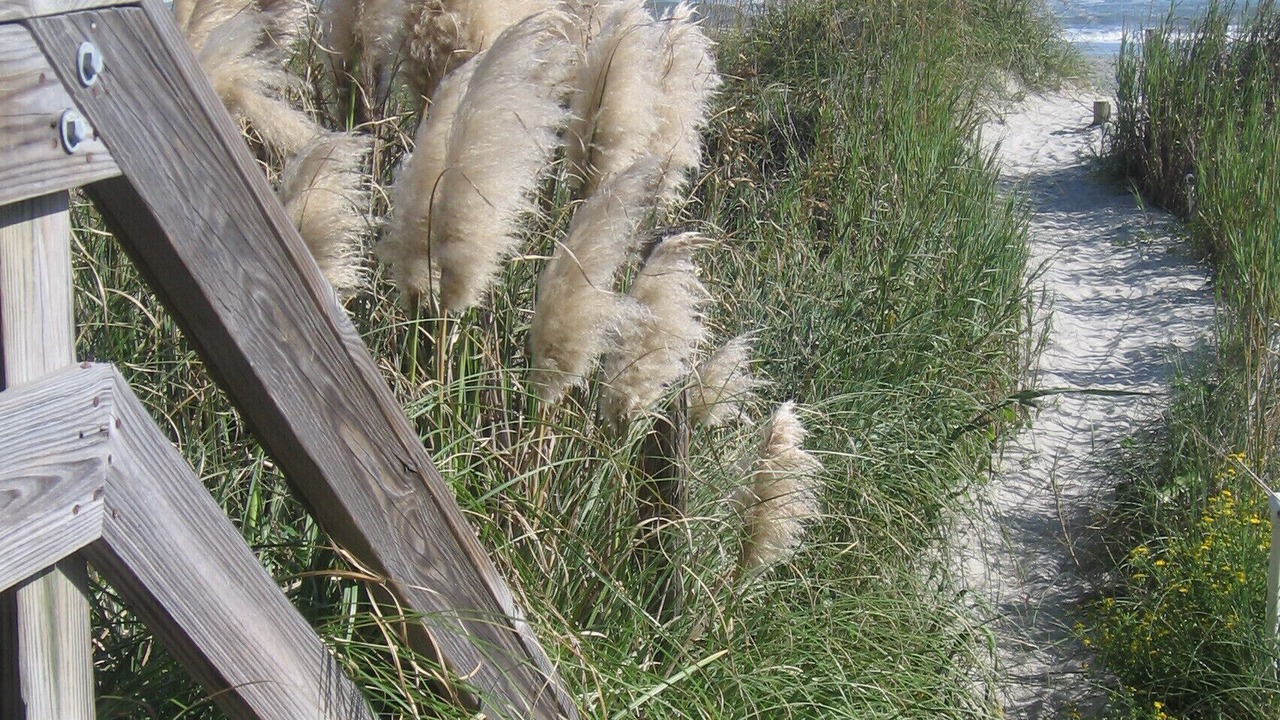 Photo of Others in Windy Hill