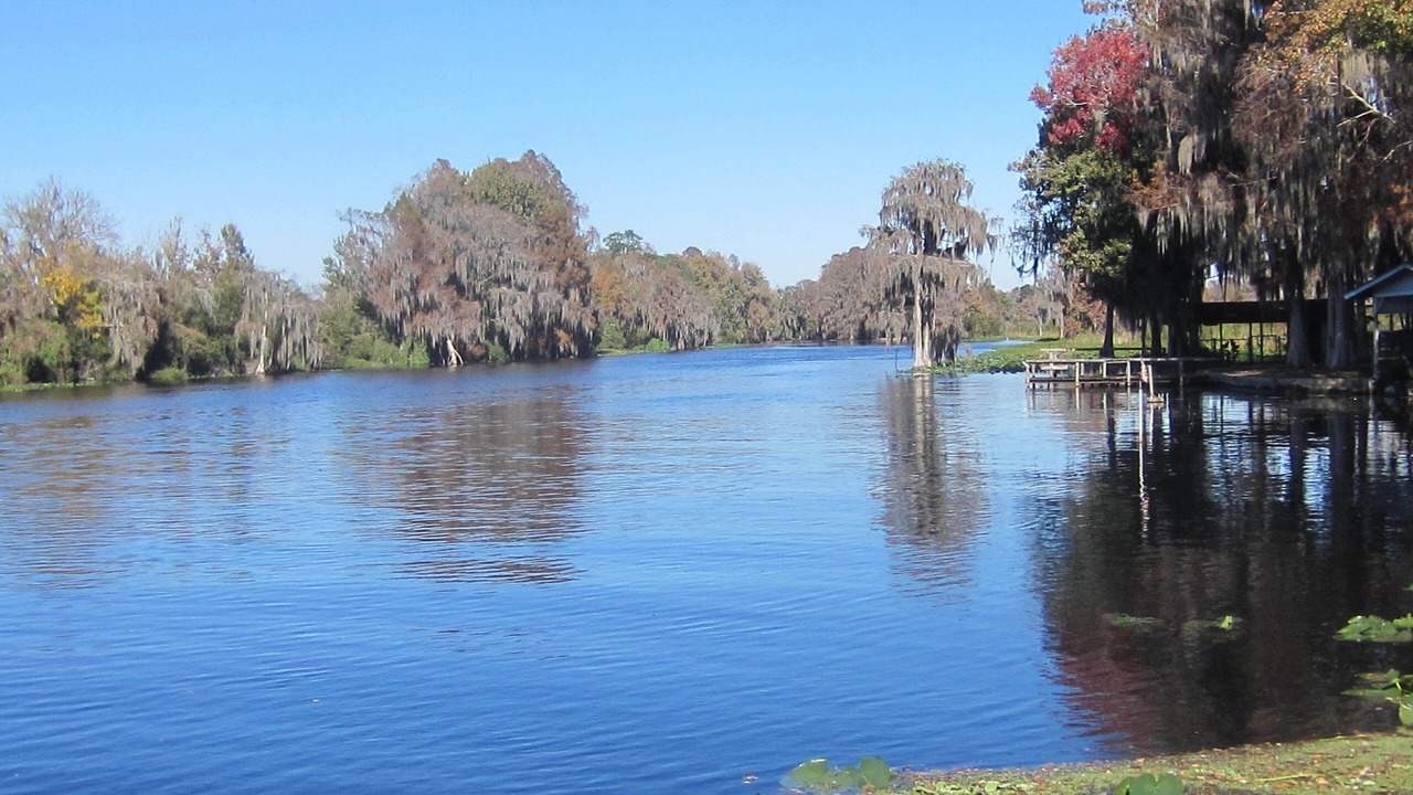 Photo of Others in Citrus Springs