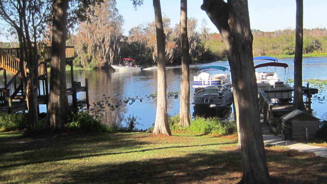 Photo of Others in Citrus Springs