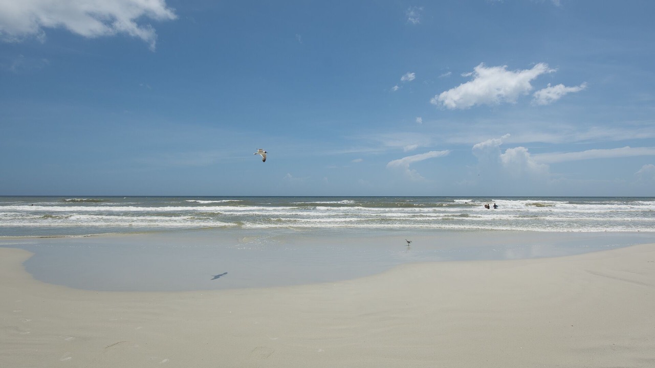 Photo of Others in New Smyrna Beach