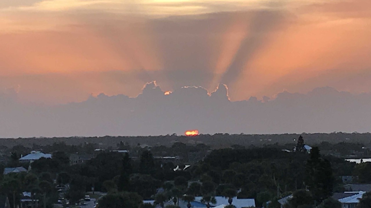 Photo of Outdoor in New Smyrna Beach
