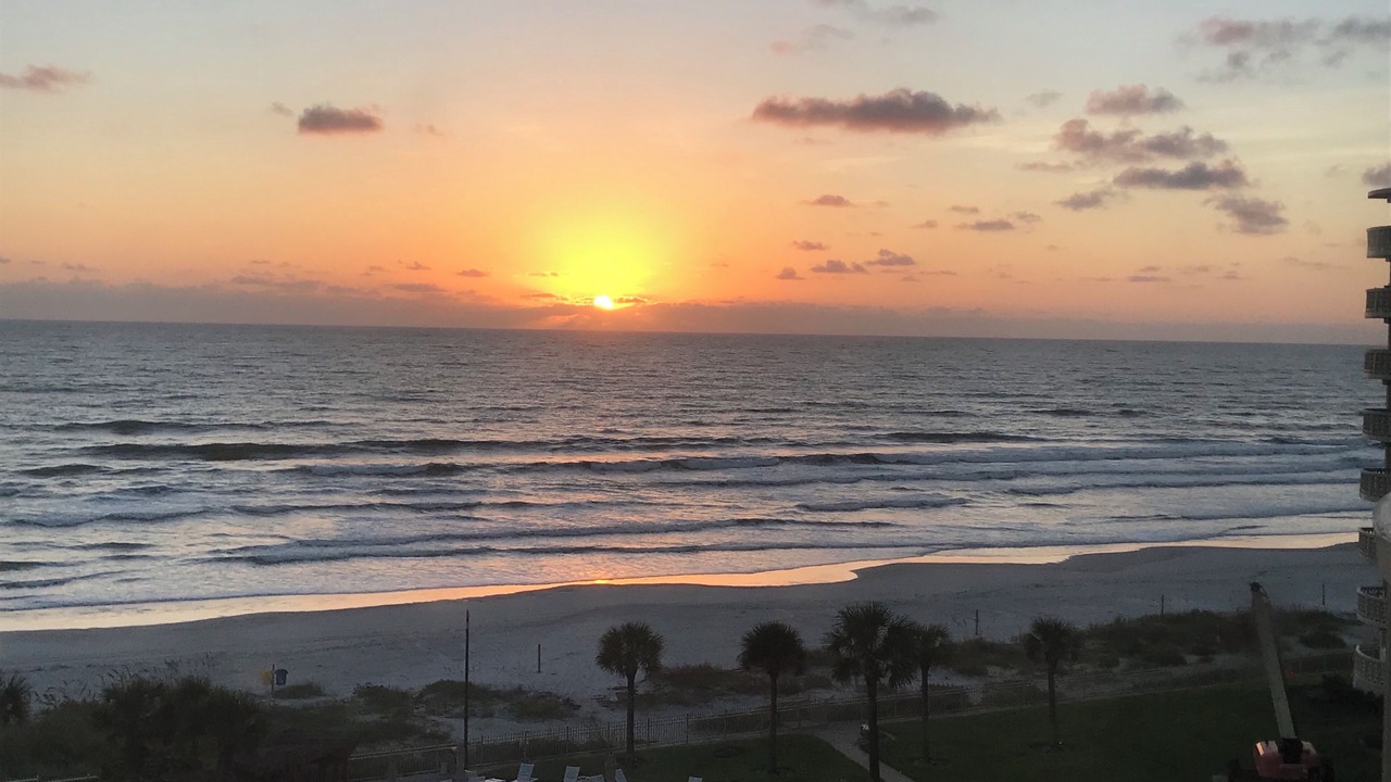 Photo of Others in New Smyrna Beach