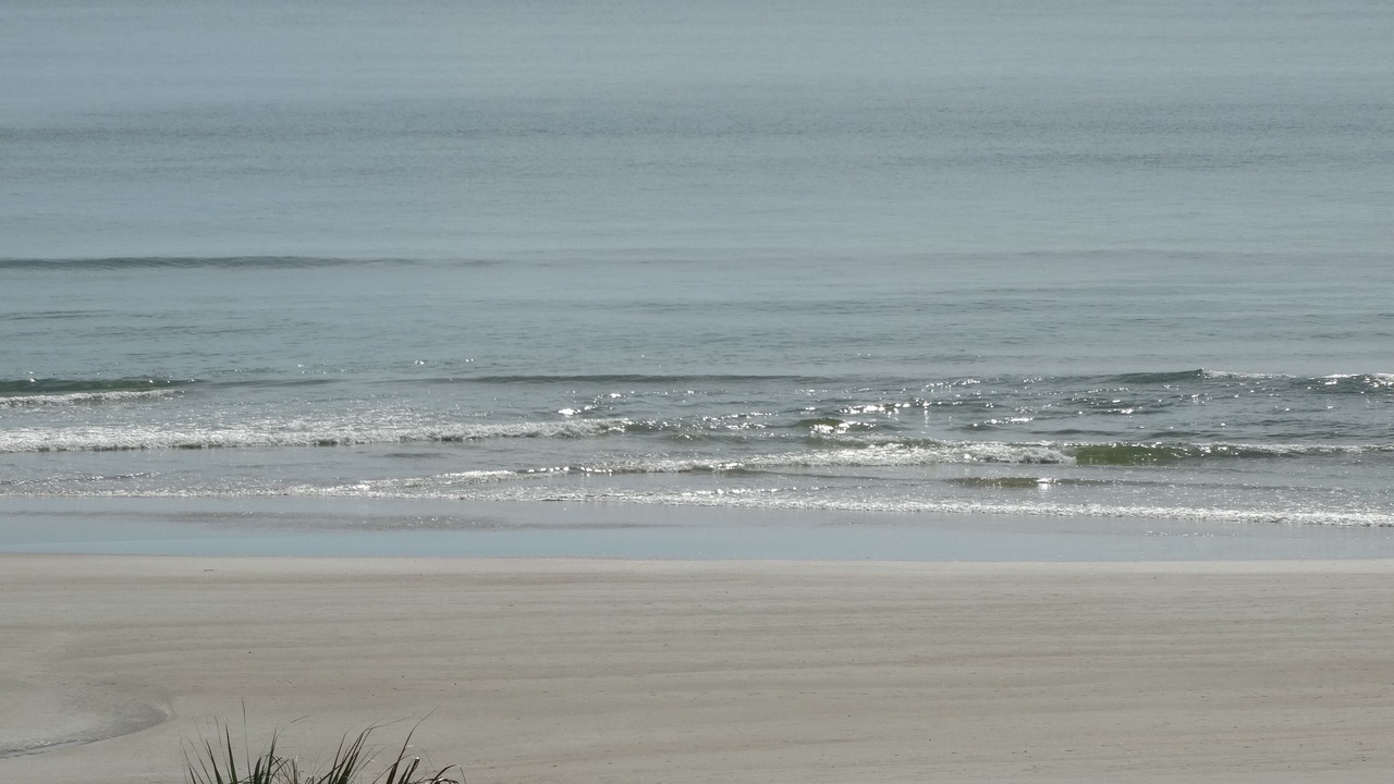 Photo of Others in New Smyrna Beach