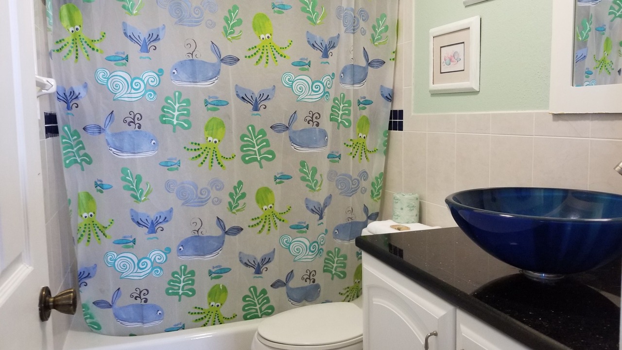 Photo of Bathroom in North Redington Beach